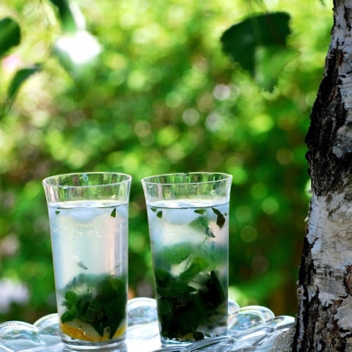 Mtovo-medovkov limonda